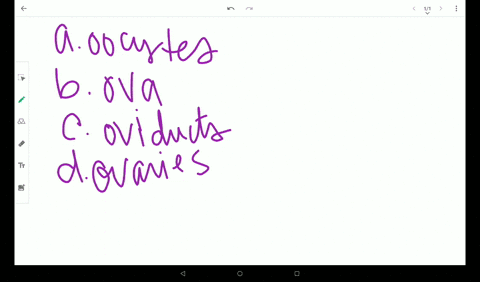 what-are-the-female-gonads-called-a-oocytes-b-ova-c-oviducts-d-ovaries
