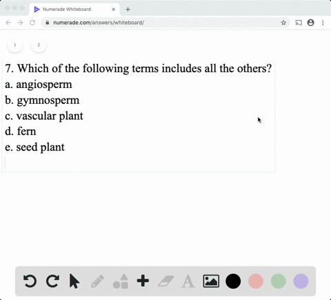 which-of-the-following-terms-includes-all-the-others-a-angiosperm-b-gymnosperm-c-vascular-plant-d-2