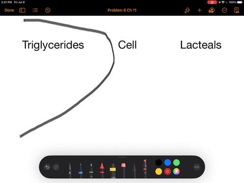 after-triglycerides-are-absorbed-they-leave-the-cell-and-move-into-the-________-a-bloodstream-b-inte