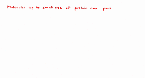 assertion-molecules-up-to-small-size-of-protein-can-pass-through-outer-membrane-of-plastids-reason-o