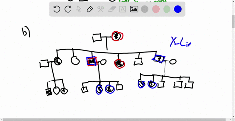 ⏩SOLVED:Consider The Following Pedigree. (FIGURE CANT COPY) Predict ...