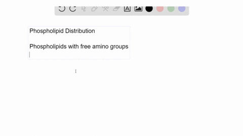 all-new-phospholipids-are-added-to-the-cytosolic-leaflet-of-the-er-membrane-yet-the-er-membrane-ha-2