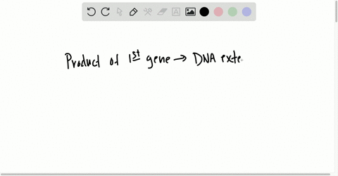 two-mutant-strains-of-e-coli-each-have-a-temperaturesensitive-mutation-in-a-gene-that-encodes-a-prod