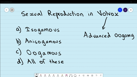 which-type-of-sexual-reproduction-is-found-in-volvox-a-isogamous-b-anisogamous-c-oogamous-d-all-of-t