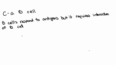 to-which-does-the-activated-helper-t-cell-present-its-antigen-a-a-pathogen-c-a-b-cell-b-bone-marrow-