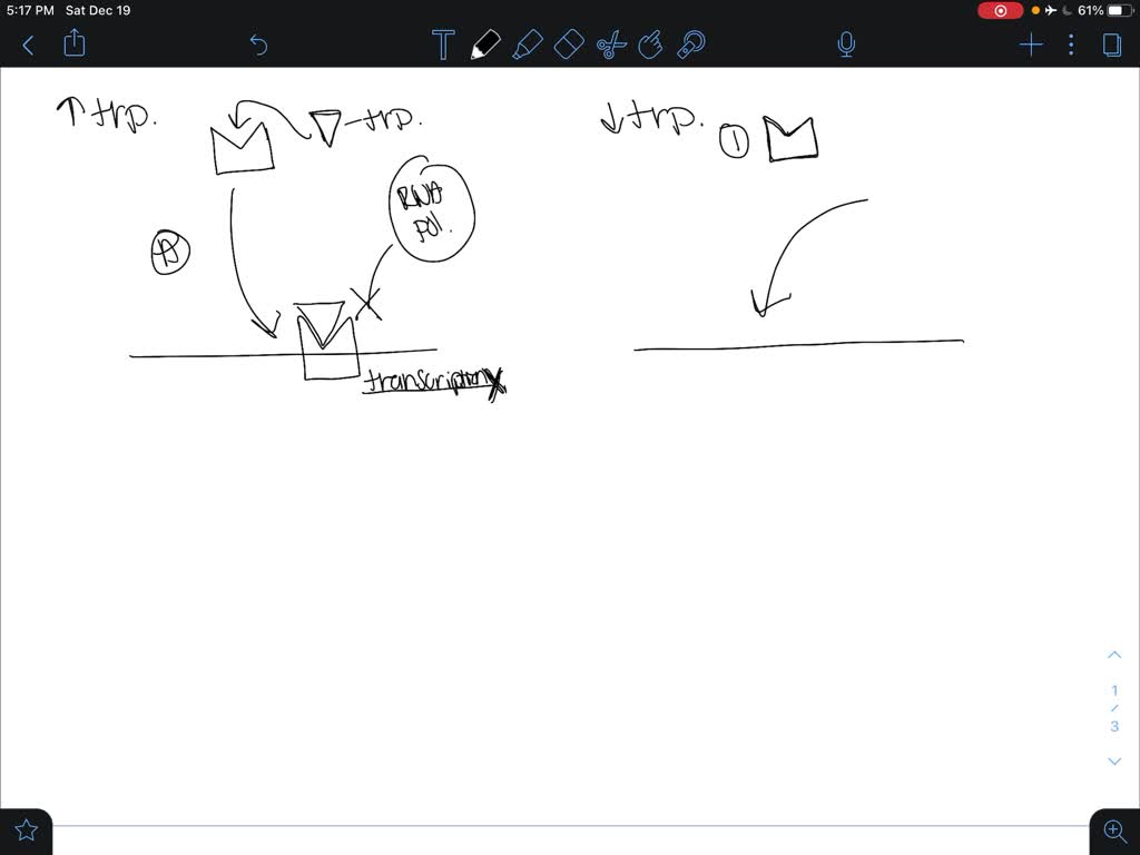 SOLVED:If a particular operon encodes enzymes for making an essential