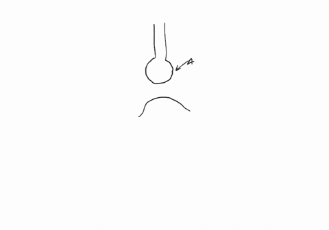 sketch-a-synapse-label-the-axon-and-synaptic-terminal-of-the-presynaptic-cell-the-postsynaptic-cell-
