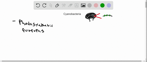 genome-sequencing-projects-are-complete-or-in-progress-for-many-prokaryotes-other-than-e-coli-use-th