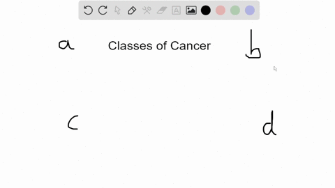 most-cancers-are-classified-according-to-their-size-distribution-and-involvement-of-the-______-a-lym