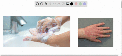 many-people-use-antimicrobial-soap-to-kill-bacteria-on-their-hands-however-overuse-may-actually-incr