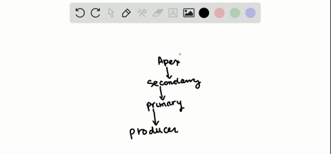 the-loss-of-an-apex-consumer-would-impact-which-trophic-level-of-a-food-web-a-primary-producers-b-pr