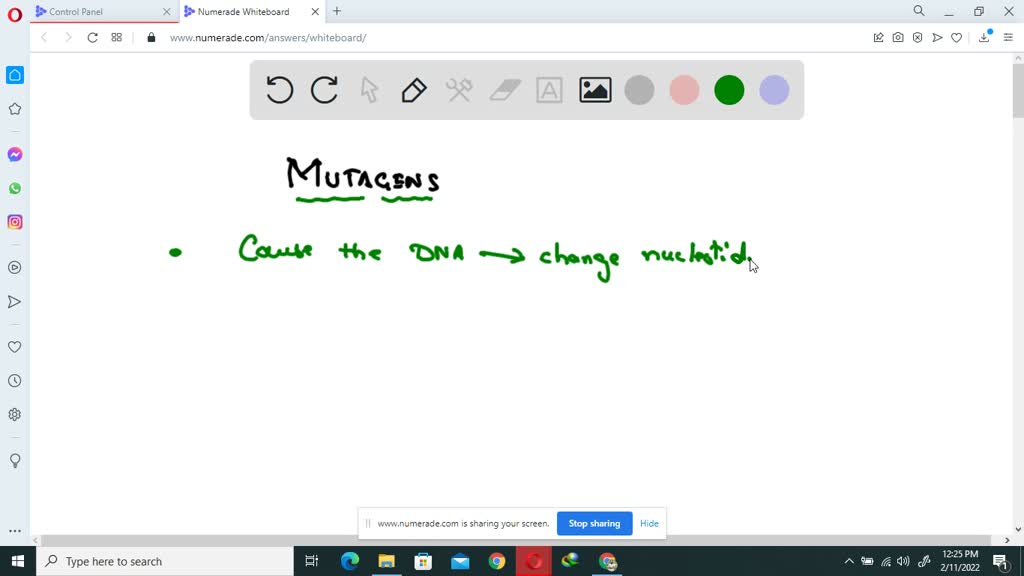 SOLVEDWhat are the three main types of mutagens?