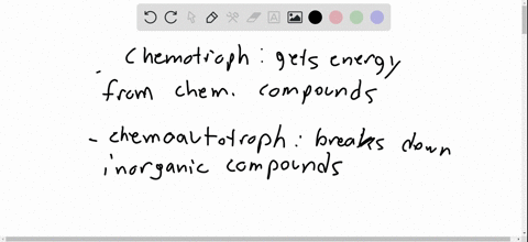 which-set-of-phrases-related-to-nutritional-and-metabolic-adaptations-best-fits-the-organisms-descri