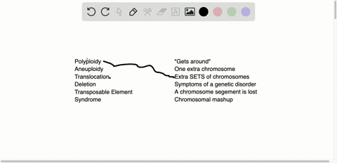 match-the-chromosome-terms-appropriately-______polyploidy-______deletion-______aneuploidy-______tran