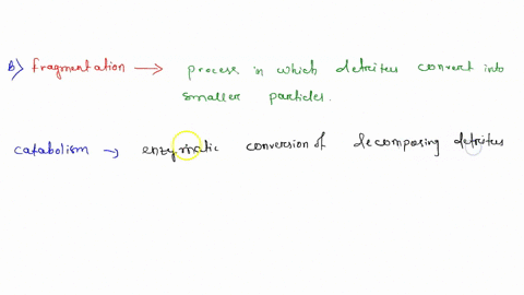 find-out-the-total-number-of-incorrect-statements-from-the-following-a-decomposition-is-largely-an-a