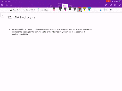 rna-is-readily-hydrolyzed-by-alkali-whereas-dna-is-not-why