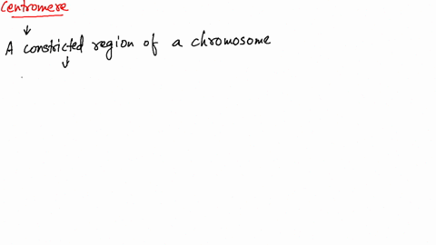 what-is-the-centromere