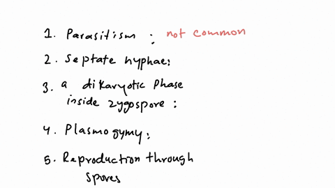 a-trait-common-to-all-fungi-is-a-reproduction-via-spores-b-parasitism-c-septate-hyphae-d-a-dikaryo-2