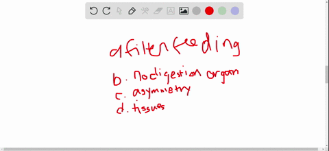 which-is-not-a-characteristic-of-sponges-a-filter-feeding-b-digestion-inside-cells-c-asymmetry-d-tis