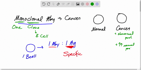 chemical-connections-30-a-how-are-monoclonal-antibodies-used-to-fight-cancer