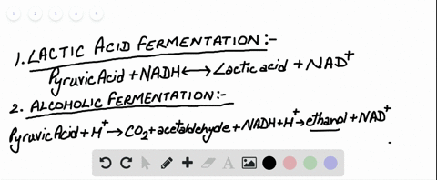 what-are-the-products-of-alcohol-fermentation-a-methane-and-nadh-b-lactic-acid-and-fad-c-ethanol-and