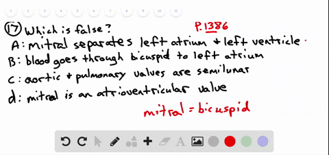 which-of-the-following-statements-about-the-heart-is-false-a-the-mitral-valve-separates-the-left-ven