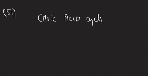 what-is-the-purpose-of-the-citric-acid-cycle