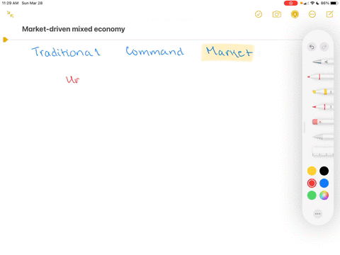 what-is-a-market-driven-mixed-economy-illustrate-your-answer-with-examples