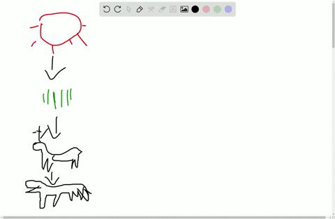 the-10-rule-of-energy-conversion-efficiency-a-explains-why-big-fierce-animals-are-so-rare-b-explains