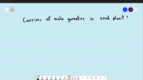 which-of-these-are-carriers-of-male-gamete-in-seed-plants-a-microspore-mother-cell-b-megaspore-mothe