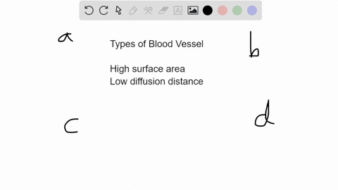 which-blood-vessel-is-best-suited-for-exchange-of-gases-and-nutrients-with-the-surrounding-tissue-a-