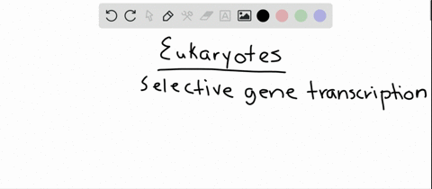 which-statement-about-selective-gene-transcription-in-eukaryotes-is-not-true-a-regulatory-proteins-c