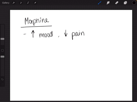 morphine-elevates-mood-and-eases-pain-and-is-most-similar-to-which-of-the-following-a-dopamine-b-ser