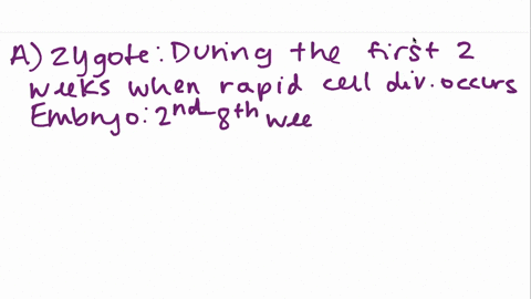 the-first-two-weeks-of-prenatal-development-the-period-of-______-the-is-a-time-of-rapid-cell-divisio