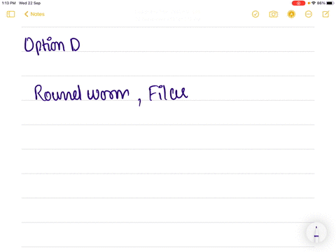 which-of-the-following-are-pseudocoelomate-a-roundworm-b-hookworm-c-filarial-worm-d-all-of-these