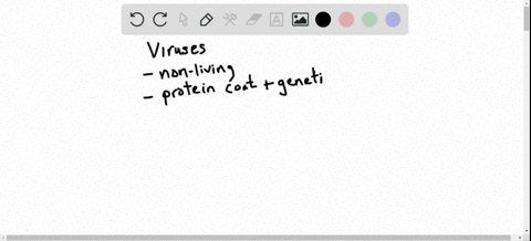 why-are-viruses-often-used-in-the-study-of-genetics