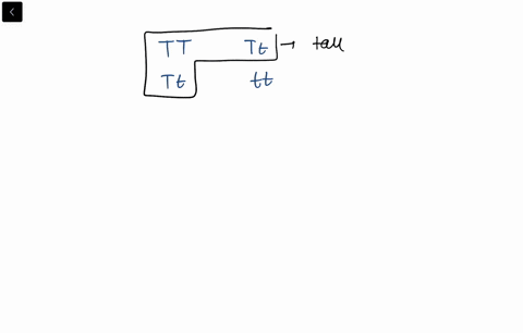 many-genetic-traits-are-controlled-by-two-genes-one-dominant-and-one-recessive-in-gregor-mendels-o-2