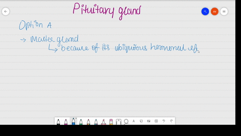 which-is-the-most-influential-of-the-endocrine-glands-a-pituitary-gland-b-adrenal-glands-c-dendrites