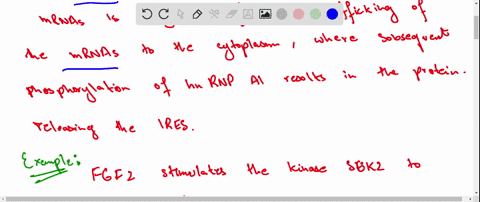 as-dna-is-found-in-the-nucleus-transcription-is-a-nuclearlocalized-process-ribosomes-responsible-for