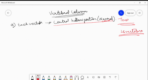 which-of-the-following-is-true-about-vertebral-column-a-each-vertebra-in-vertebral-column-has-a-cent