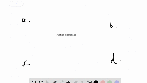 peptide-hormones-are-synthesized-from-_______-a-amino-acids-b-proteins-c-cholesterol-d-nucleic-acids