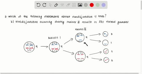 which-of-the-following-statements-about-nondisjunction-is-true-a-nondisjunction-only-results-in-game