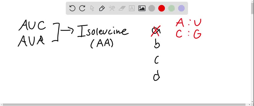 SOLVED:The AUC and AUA codons in mRNA both specif…