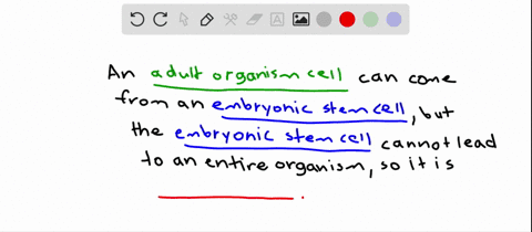 an-embryonic-stem-cell-that-can-give-rise-to-any-type-of-cell-of-an-adult-organism-but-cannot-produc