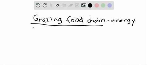 which-of-the-following-represents-a-grazing-food-chain-a-leaves-rightarrow-detritus-feeders-rightarr