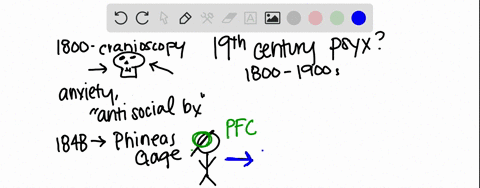 how-did-the-object-of-study-in-psychology-change-over-the-history-of-the-field-since-the-19-th-centu