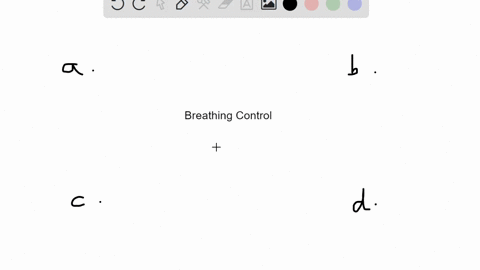 what-is-the-primary-feedback-used-by-the-brain-to-control-breathing-a-heart-rate-b-partial-pressur-2