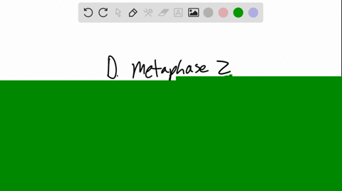 which-stage-of-meiosis-is-illustrated-above-a-prophase-i-b-prophase-ii-c-metaphase-i-d-metaphase-ii