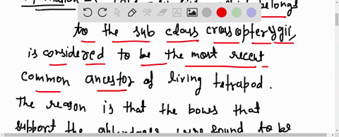 which-of-the-following-could-be-considered-the-most-recent-common-ancestor-of-living-tetrapods-a-a-3