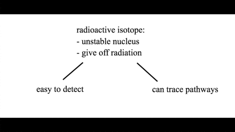 why-are-radioactive-isotopes-useful-as-tracers-in-research-on-the-chemistry-of-life